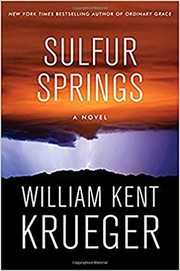Sulfur Springs : a novel Book cover