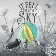 It fell from the sky Cover Image