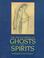 Go to record The encyclopedia of ghosts and spirits