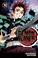 Go to record Demon slayer : kimetsu no yaiba. 10 Human and demon