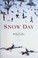 Go to record Snow day : a novel