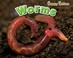 Go to record Worms
