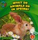 Go to record What do animals do in spring?