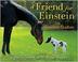 Go to record A friend for Einstein : the smallest stallion
